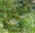 Massifs d’herbe Vincent van Gogh